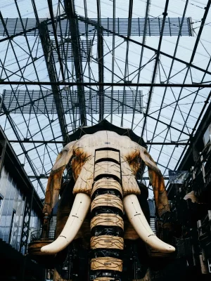 Trajet en ville avec un chauffeur privé à Nantes | Le Transporteur Nantais